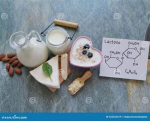 lactose food chemical