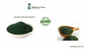Spirulina Powder Spray Dried 1 spirulina powder spray dried