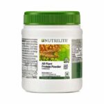amway nutrilite all plant protein powder 500gm