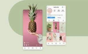 Instagram Reels Promotion 1 instagram reels promotion
