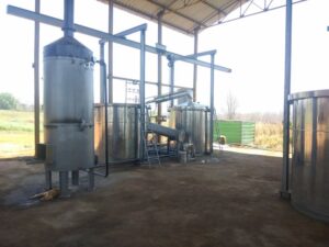 Ledum / Labrador Tea / Greenland Moss Leaves Oils Distillation Plants 1 ledum labrador tea greenland moss leaves oils distillation plants