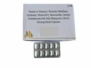 Multivitamin Mineral Supplement 1 multivitamin mineral supplement