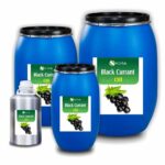 black currant oil