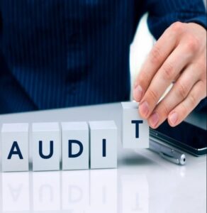 Company Auditing Service 1 company auditing service