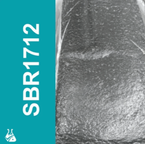 Sbr 1712 Synthetic Rubber 1 sbr 1712 synthetic rubber