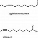glycerol monooleate