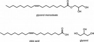 Glycerol Monooleate 1 glycerol monooleate